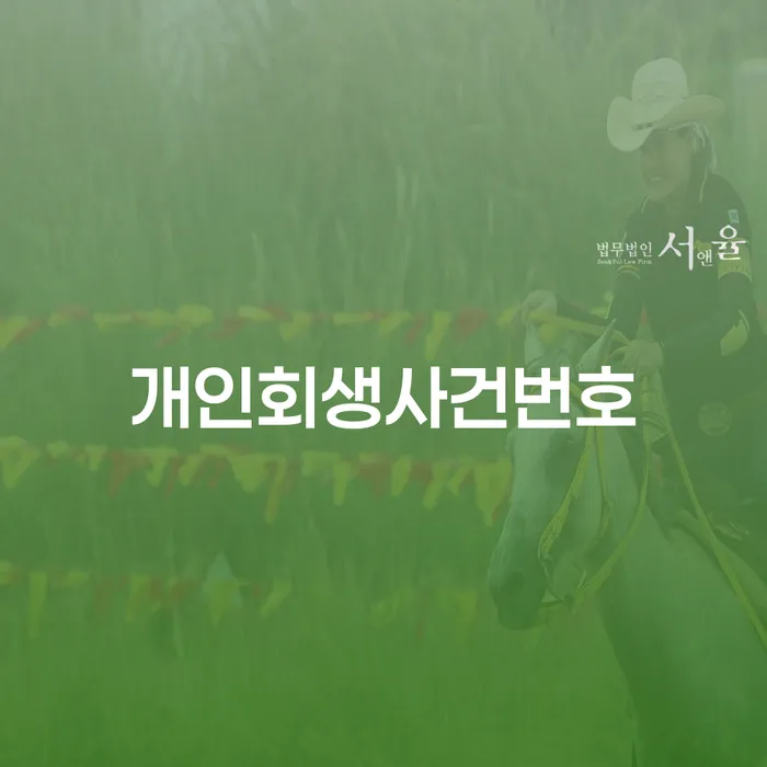 개인회생준비서류 개인회생으로 해결 경험 많은 곳에서
