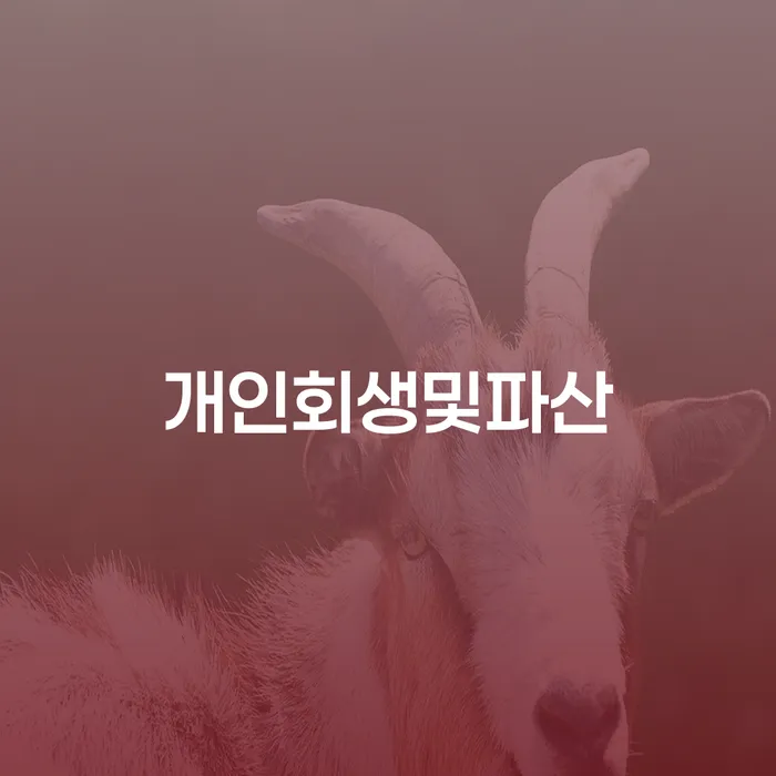 빚독촉 빚청산 어떻게 해야하는지