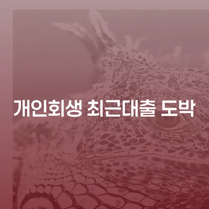 페퍼저축은행햇살론 연체 시 채무조정제도을 이용하여 어떻게 진행되는지
