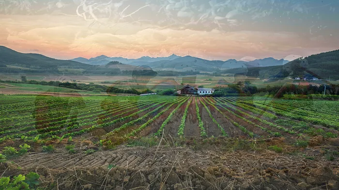 회생비용 저렴하고 분납이 가능한