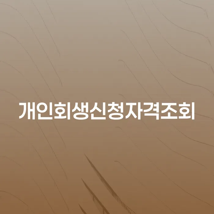 이천시 개인회생기각사유 대출 받은 돈채무조정 정보알아보기