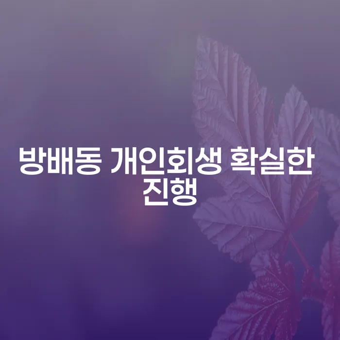 방배동 개인회생 확실한 진행