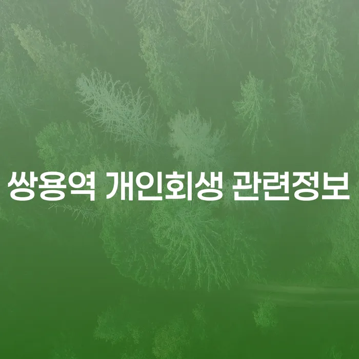 쌍용역 개인회생 관련정보
