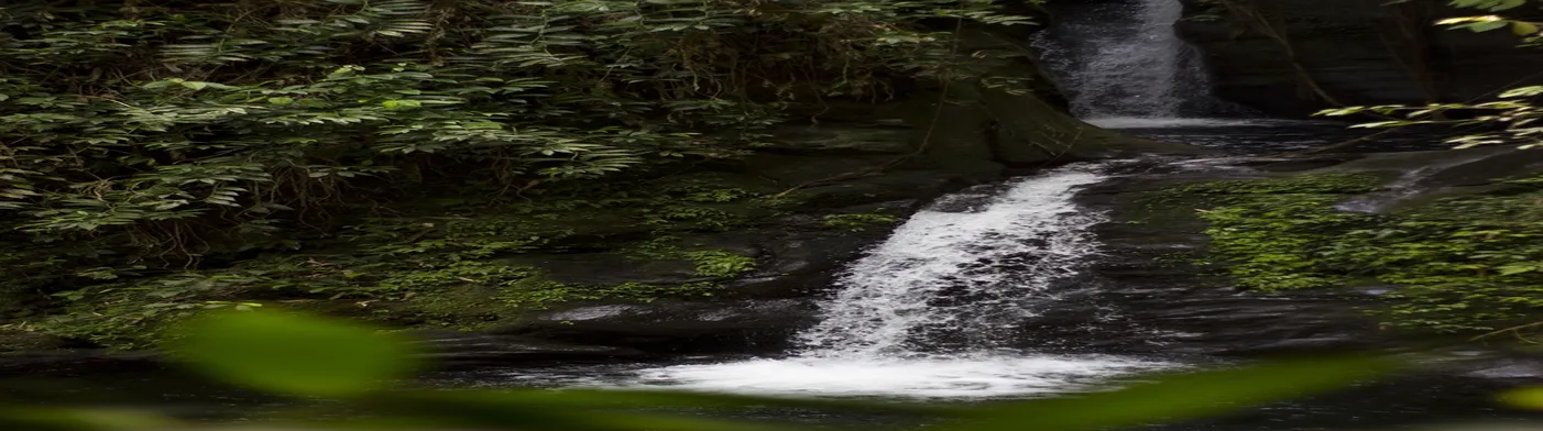 법무법인 서앤율
