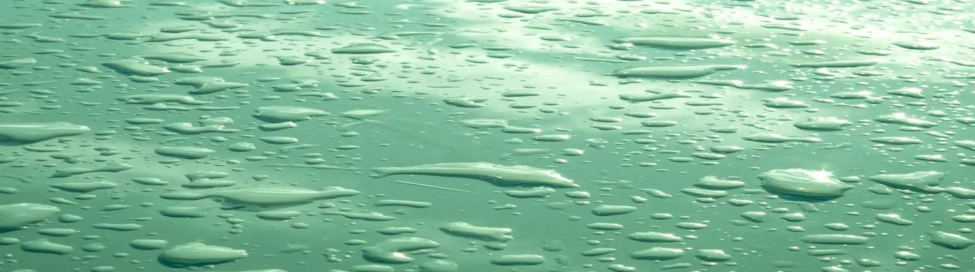 법무법인 서앤율