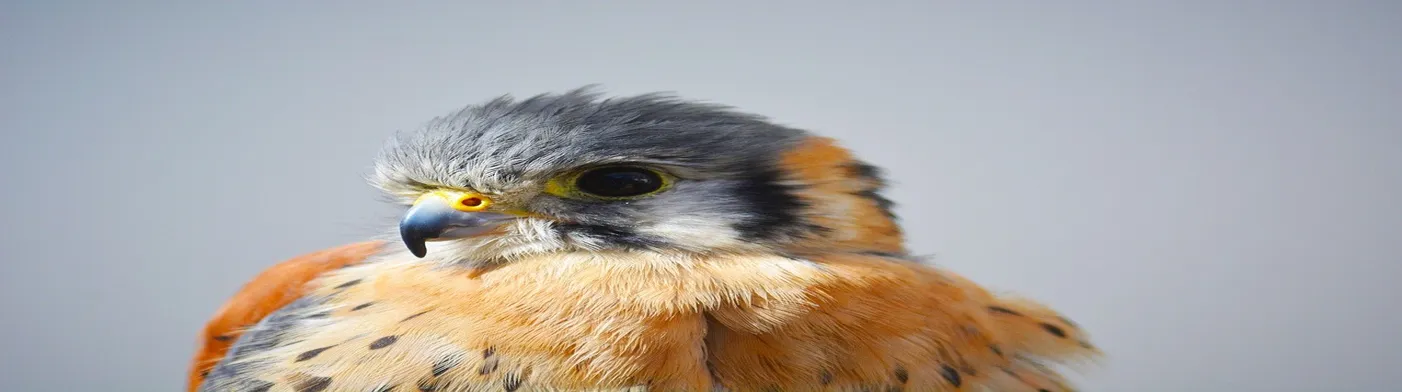 법무법인 서앤율