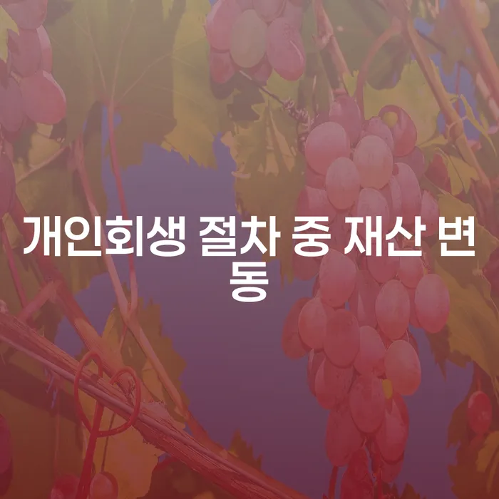 개인회생 절차 중 재산 변동, 어떻게 대처해야 할까?