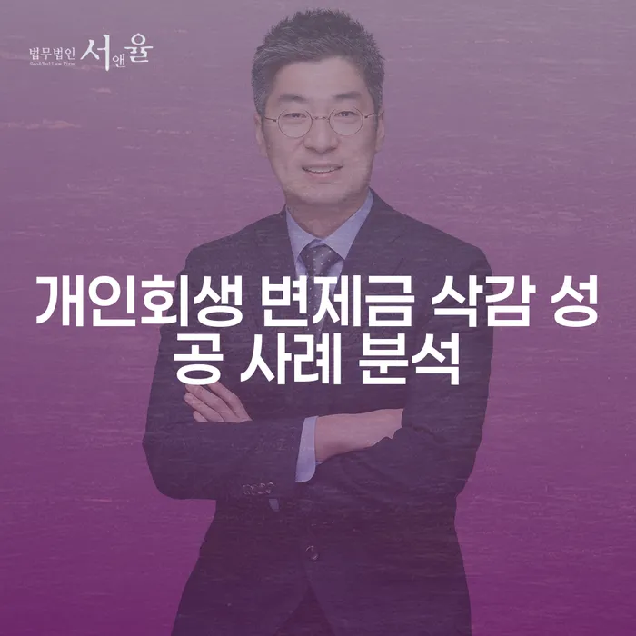 개인회생 변제금 삭감 성공 사례 분석 - 어떻게 가능할까요?