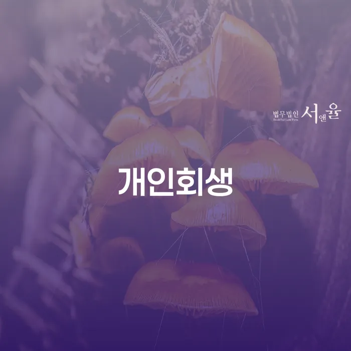 일원본동 개인회생을 통한 채무 해결과 새로운 시작